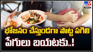 Viral: ట్రాఫిక్‌ సిగ్నల్‌పై పాము..  కేబుల్‌ వైర్లమీదుగా పాకుతూ.. వీడియో అదుర్స్.