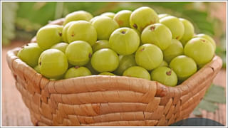 Chandrababu Foods: చంద్రబాబు నాయుడు ఏం తింటారో తెలుసా.. ఇలా తింటే ఆరోగ్యం మీ సొంతం!