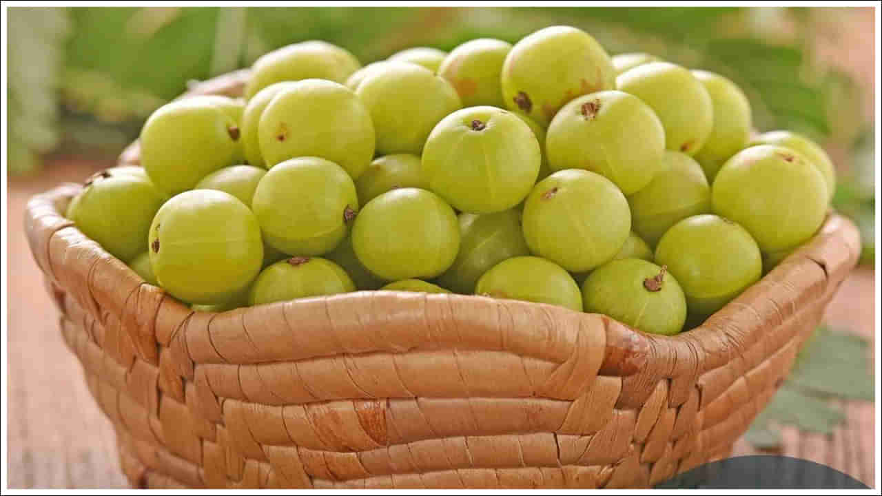 Amla: మధుమేహం ఉన్నవారికి ఉసిరికాయ మంచిదేనా? దీని బెనిఫిట్స్ ఏంటో తెలిస్తే..