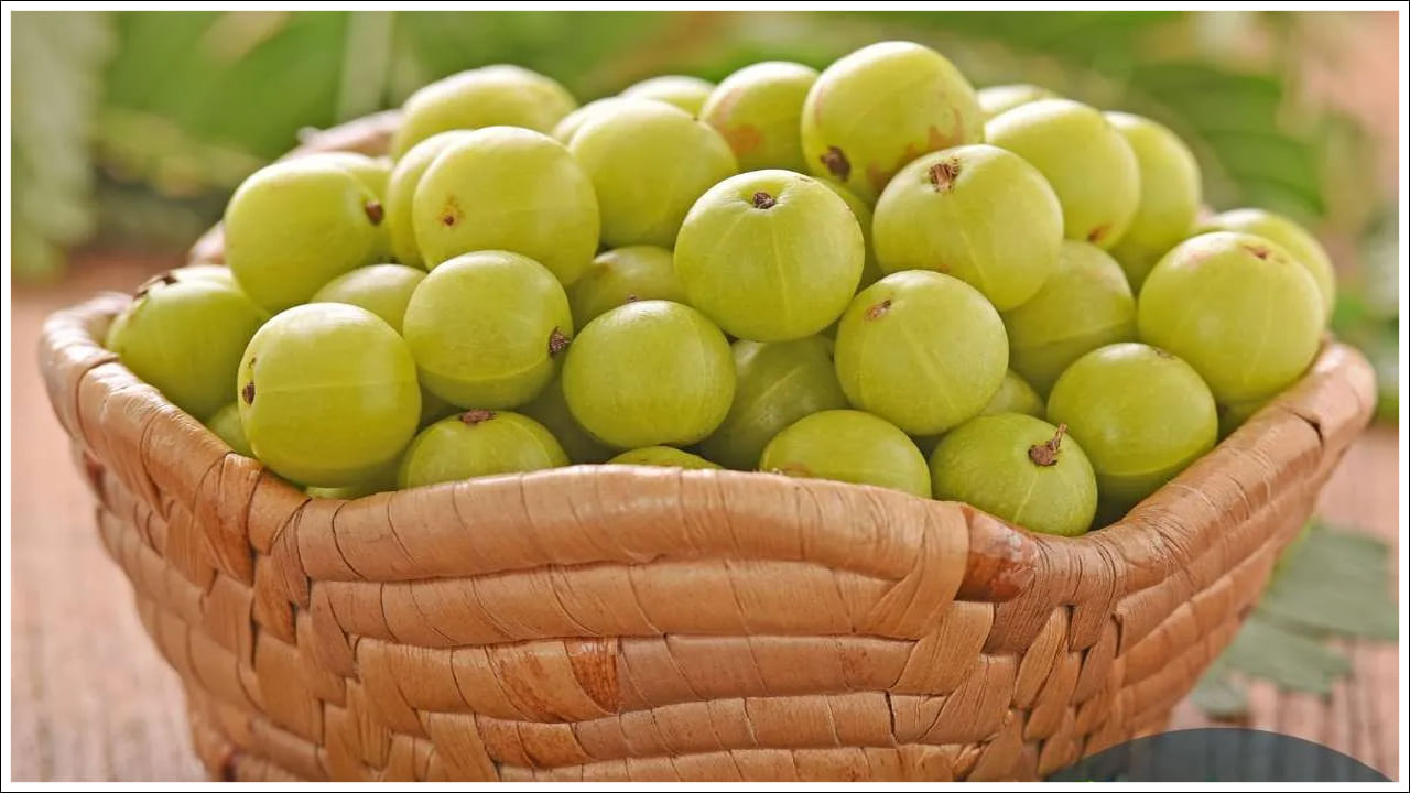 Amla: మధుమేహం ఉన్నవారికి ఉసిరికాయ మంచిదేనా? దీని బెనిఫిట్స్‌ ఏంటో తెలిస్తే..