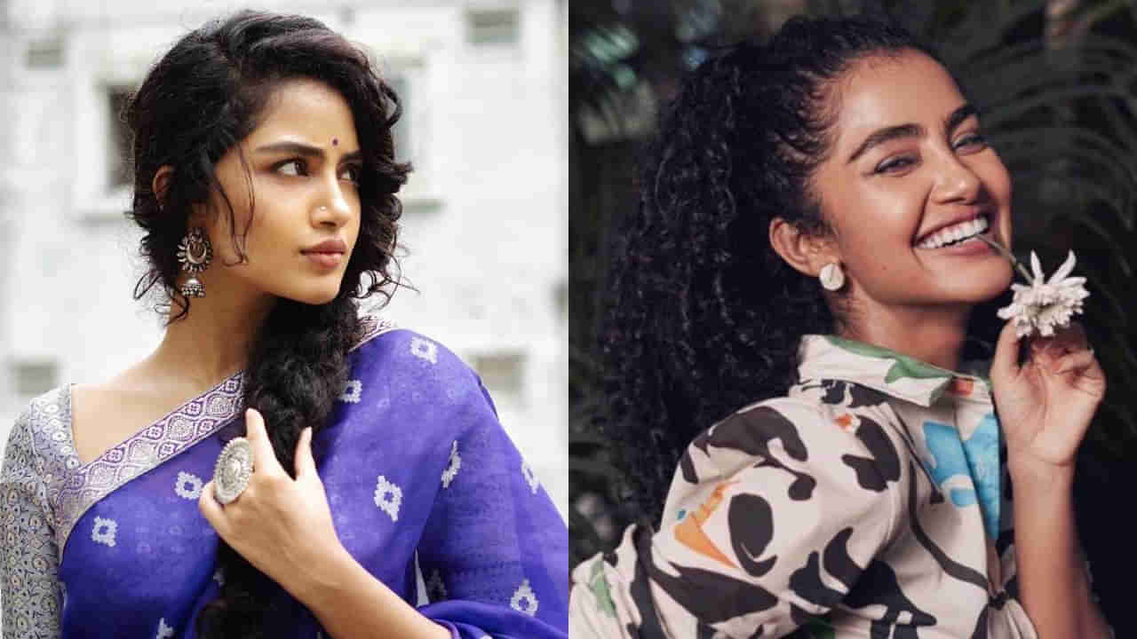 Anupama Parameswaran: నాకు ఇలాంటి మసాజ్ కావాలి.. ఫొటో షేర్ చేసిన అనుపమ.. నెటిజన్ల క్రేజీ కామెంట్స్