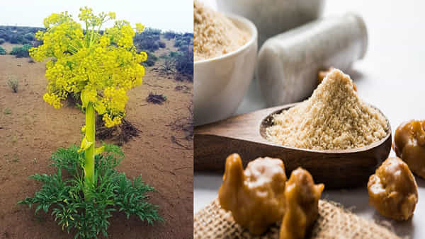 చిటికెడు ఇంగువతో ఇన్ని లాభాలా..? తెలిస్తే క్రమం తప్పకుండా వాడుతారు!