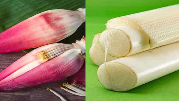 Banana Stem Benefits : నెలకు రెండుసార్లైనా అరటి కాండం తినండి.. అద్భుతమైన ఆరోగ్య ప్రయోజనాలు పొందండి..!