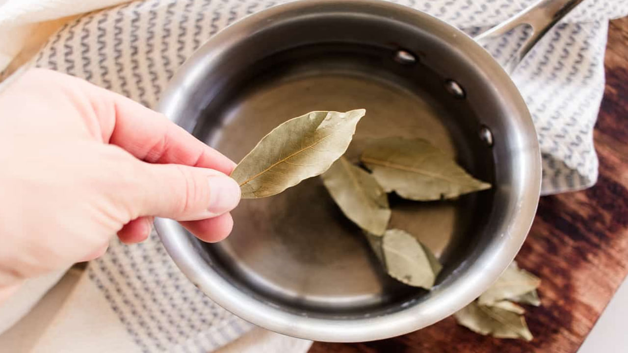 Bay Leaf for Hair: బిర్యానీ ఆకుల‌తో చుండ్రును త‌గ్గించుకోవ‌చ్చు తెలుసా.. జుట్టు పొడవుగా పెరుగుతుంది