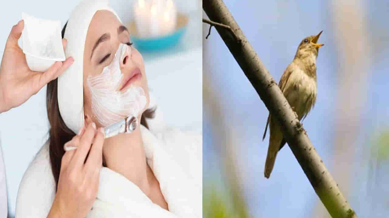 Bird Poop Facial: అందం కోసం కొత్త ట్రెండ్.. పక్షి రెట్టతో ఫేషియల్.. కొంచెం ఖరీదైనా ఎగబడుతున్న జనం..