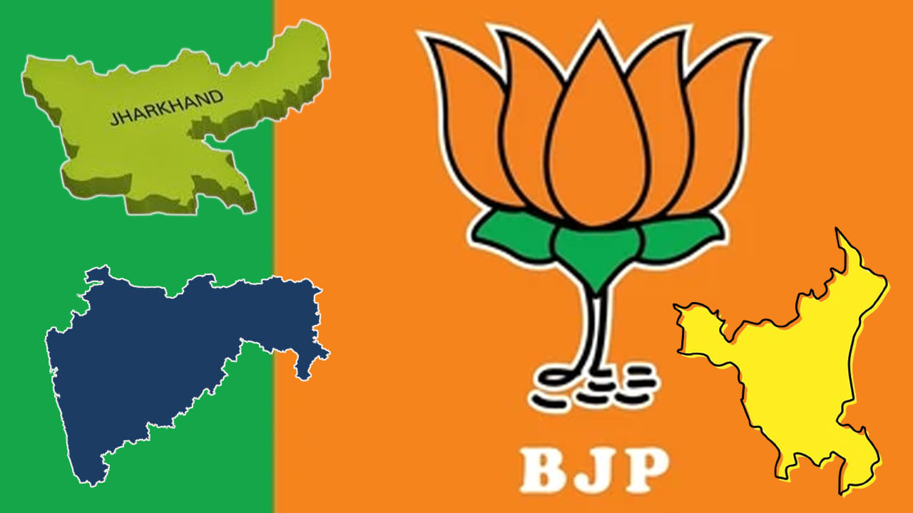 BJP: హర్యానాలో జాట్ల ఆగ్రహమే కొంప ముంచిందా?.. బీజేపీ ఆత్మపరిశీలన