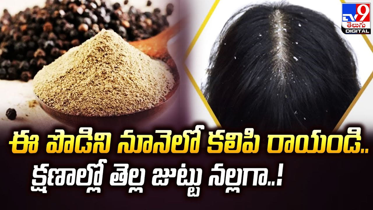 ఈ పొడిని నూనెలో కలిపి రాయండి.. క్షణాల్లో తెల్ల జుట్టు నల్లగా Telugu