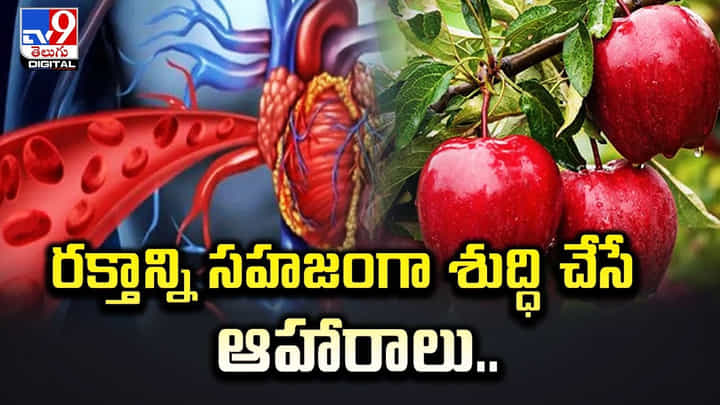 రక్తాన్ని సహజ పద్ధతుల్లో శుద్ధి చేసే ఆహారాలు.. రక్తాన్ని సహజ పద్ధతుల్లో శుద్ధి చేసే ఆహారాలు..