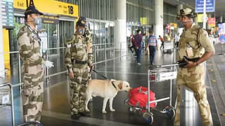 అంబానీ ఇంట పెళ్లి వేడుకలకు కౌంట్‌డౌన్ స్టార్ట్.. ఈ నెల 29నుంచి అనంత్‌, రాధిక పెళ్లి సందడి షురూ