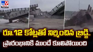 Viral Video: బయట ఫుడ్ తింటున్నారా జర ఆలోచించండి సాంబార్‌లో చచ్చిన ఎలుక..  వైరల్ వీడియో