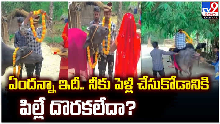 ఏందన్నా ఇదీ !! నీకు పెళ్లి చేసుకోడానికి పిల్లే దొరకలేదా ఏందన్నా ఇదీ !! నీకు పెళ్లి చేసుకోడానికి పిల్లే దొరకలేదా