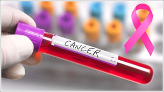 Brain Stroke Symptoms: బ్రెయిన్ స్ట్రోక్ వస్తే ఎలాంటి లక్షణాలు ఉంటాయి? ఎలాంటి జాగ్రత్తలు తీసుకోవాలి?