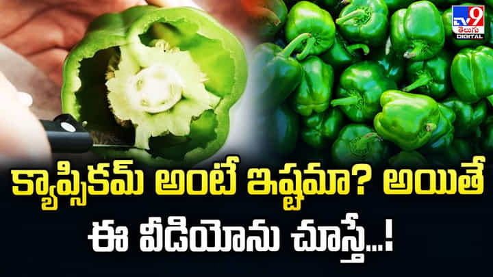 క్యాప్సికమ్ అంటే ఇష్టమా ?? అయితే ఈ వీడియోను చూస్తే ?? క్యాప్సికమ్ అంటే ఇష్టమా ?? అయితే ఈ వీడియోను చూస్తే ??
