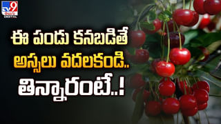 Coffee Benefits: కాఫీ ప్రియులకు శుభవార్త.. మీ ఆయుష్షు పెరిగినట్టే..