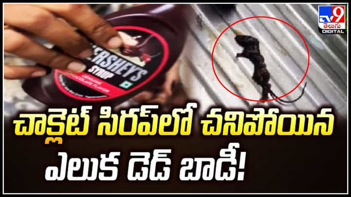 Viral Video: చాక్లెట్ సిరప్లో చనిపోయిన ఎలుక డెడ్ బాడీ..! వీడియో చూస్తే షాకే.. Viral Video: చాక్లెట్ సిరప్లో చనిపోయిన ఎలుక డెడ్ బాడీ..! వీడియో చూస్తే షాకే..