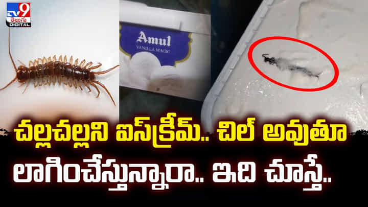ఆన్‌లైన్‌లో ఐస్‌క్రీమ్ ఆర్డర్ చేసిన మహిళ.. తెరిచి చూడగా ఊహించని షాక్