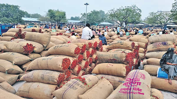 Andhra Pradesh: మిర్చి ధరలు ఢమాల్.. కోల్డ్ స్టోరేజీల్లో కొండల్లా పెరిగిపోతున్న నిల్వలు