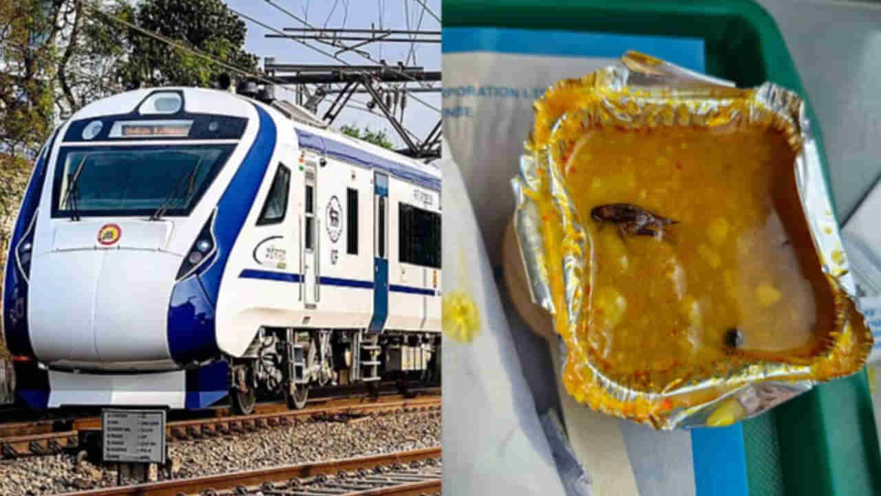 Vande Bharat Train Food: వందేభారత్ భోజనంలో బొద్దింకలు.. క్షమాపణలు చెబుతూ స్పందించిన ఐఆర్సీటీసీ..