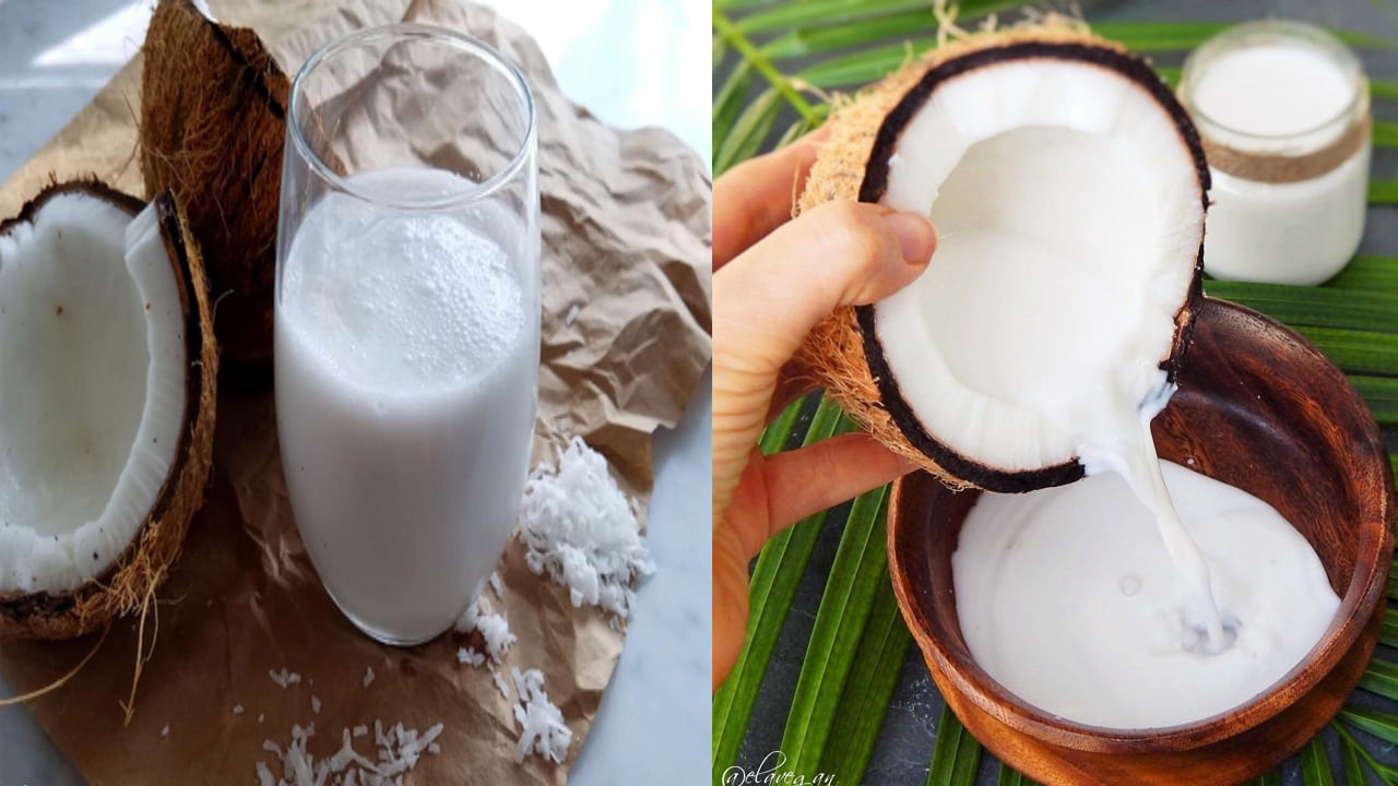 Coconut Milk Benefits: కొలెస్ట్రాల్ తగ్గుతుంది, రక్తహీనత పోతుంది! కొబ్బరి పాల వల్ల కలిగే ఆరోగ్య ప్రయోజనాలు ఎన్నో..