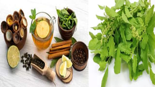 Yoga Mat: యోగా మ్యాట్ కొనుగోలు చేస్తున్నారా.. ఎలా ఉంటే మంచిదంటే..?