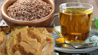 Papaya Seeds: బొప్పాయి గింజల్లో పుష్కలమైన విటమిన్స్‌.. పరగడుపునే తింటే ఈ సమస్యలన్నీ పరార్..!