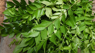 ఈ అద్భుతమైన టీ మీ ముఖాన్ని అందంగా మార్చేస్తుంది..! చర్మ సౌందర్యం కోసం..