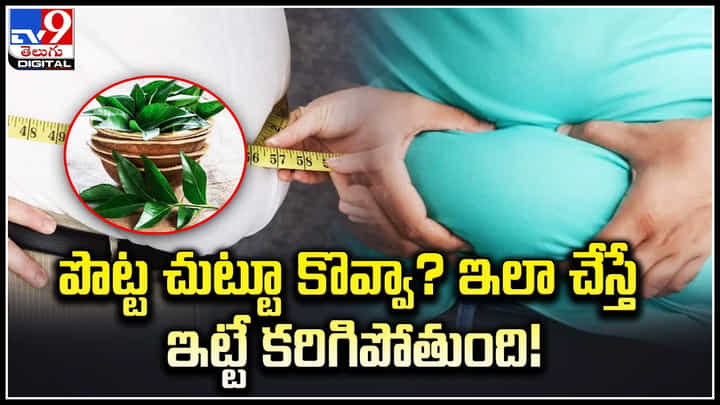 Curry Leaves: పొట్టచుట్టూ కొవ్వు పేరుకుపోయిందా..? ఇలా చేస్తే ఇట్టే కరిగిపోతుంది.! Curry Leaves: పొట్టచుట్టూ కొవ్వు పేరుకుపోయిందా..? ఇలా చేస్తే ఇట్టే కరిగిపోతుంది.!