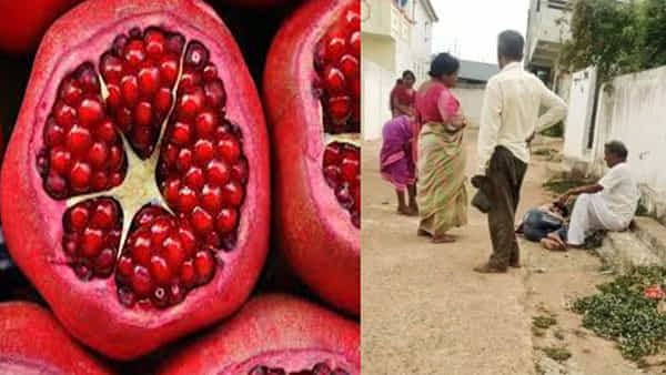 మా ఇంట్లో చెట్టుకు పండు కోస్తావా...? దళిత బాలుడిపై ప్రభుత్వ రిటైర్డ్ టీచర్ దాష్టీకం..