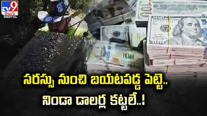 సరస్సు నుంచి బయటపడ్డ ఇనుప పెట్టె !! తెరిచి చూడగ దెబ్బకి మైండ్ బ్లాక్ సరస్సు నుంచి బయటపడ్డ ఇనుప పెట్టె !! తెరిచి చూడగ దెబ్బకి మైండ్ బ్లాక్