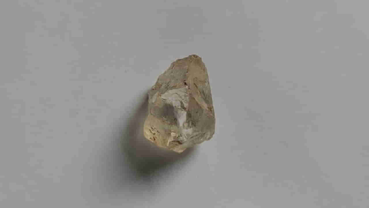 Andhra Pradesh: పొలం దున్నుతున్న రైతు కళ్లల్లో ఒక్కసారిగా మెరుపు.. రాత్రికి రాత్రే మారిన జీవితం!