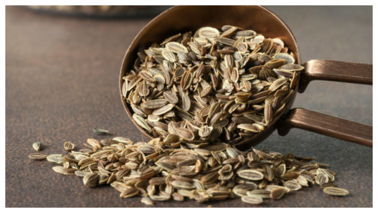 Dill Seeds దిల్ సీడ్స్ తింటే ఏం జరుగుతుంది? Telugu News What