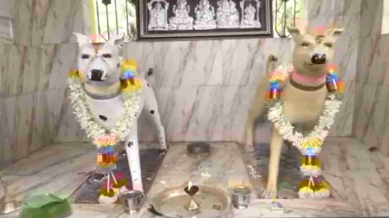 Dog Temple: ఆ గ్రామంలో శునకాలకు ఆలయం.. గ్రామస్తులకు కుక్కలే దైవం.. ఏడాదికి ఓ సారి ఉత్సవాలు..
