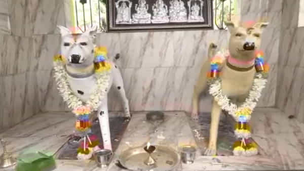Dog Temple: ఆ గ్రామంలో శునకాలకు ఆలయం.. గ్రామస్తులకు కుక్కలే దైవం.. ఏడాదికి ఓ సారి ఉత్సవాలు..