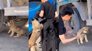 కొండ నుంచి కింద పడిన కారు.. మరణాన్ని తృటిలో తప్పించుకున్న డ్రైవర్.. షాకింగ్ వీడియో వైరల్