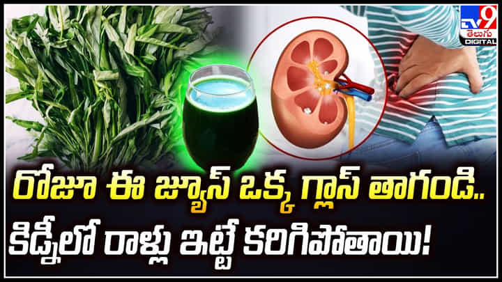 Water Spinach: రోజూ ఒక్క గ్లాస్ ఈ జ్యూస్ తాగండి.. కిడ్నీలో రాళ్లు ఇట్టే కరిగిపోతాయి.! Water Spinach: రోజూ ఒక్క గ్లాస్ ఈ జ్యూస్ తాగండి.. కిడ్నీలో రాళ్లు ఇట్టే కరిగిపోతాయి.!