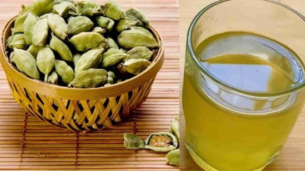 Elaichi Water Benefits: పరగడుపునే యాలకులు వేసి మరిగించిన నీటిని తాగితే.. శరీరంలో ఏమవుతుందో తెలుసా..?