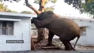 ఓర్నీ తెలివి చల్లగుండ.. పాత టీవీని ఎలా మార్చాడో తెలిస్తే బిత్తరపోతారు