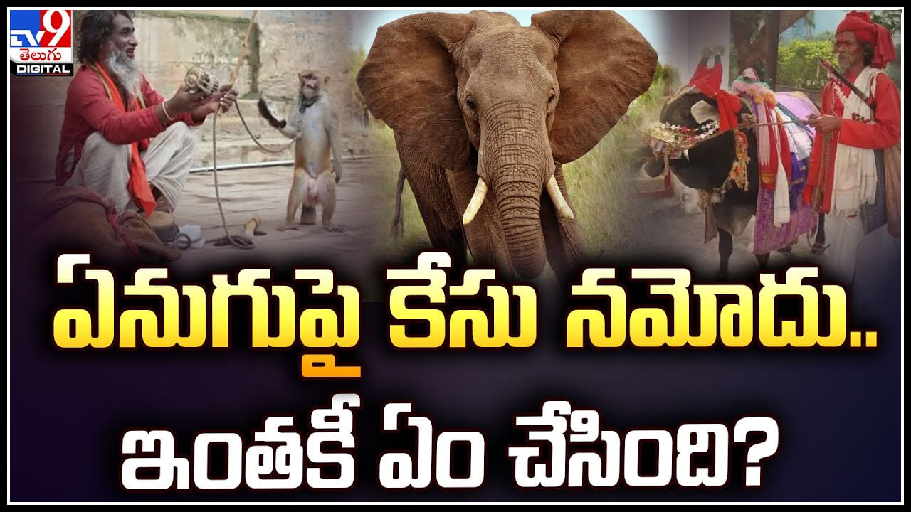 Elephant Viral Video: ఏనుగుపై కేసు నమోదు.. ఏం చేసిందో తెలిస్తే షాక్ అవ్వాల్సిందే.!