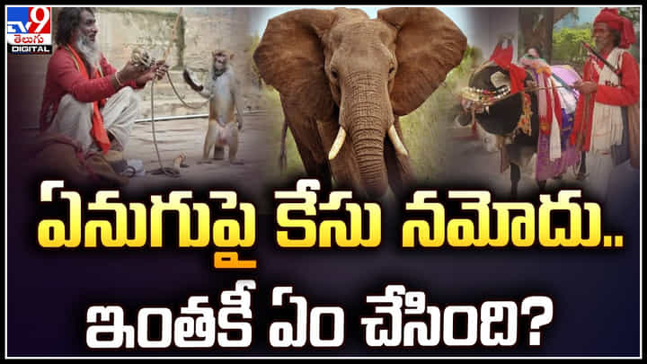 Elephant Viral Video: ఏనుగుపై కేసు నమోదు.. ఏం చేసిందో తెలిస్తే షాక్ అవ్వాల్సిందే.! Elephant Viral Video: ఏనుగుపై కేసు నమోదు.. ఏం చేసిందో తెలిస్తే షాక్ అవ్వాల్సిందే.!