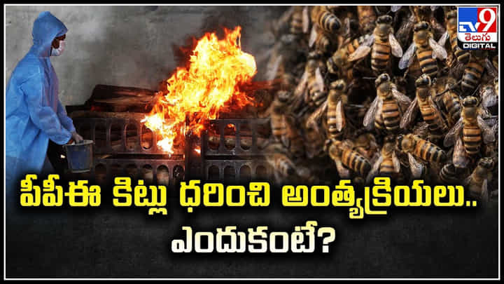 PPE Kits: పీపీఈ కిట్లు ధరించి అంత్యక్రియలు.. ఎందుకంటే.? వీడియో.. PPE Kits: పీపీఈ కిట్లు ధరించి అంత్యక్రియలు.. ఎందుకంటే.? వీడియో..