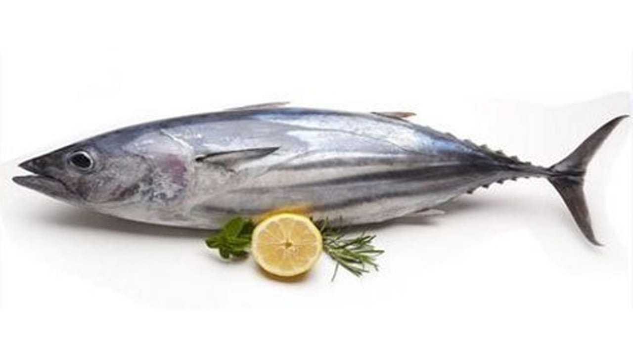 కొవ్వు చేప: సాల్మన్, ట్యూనా వంటి కొవ్వు చేపలలో ఒమేగా-3 కొవ్వు ఆమ్లాలు పుష్కలంగా లభిస్తాయి. ఈ ఒమేగా-3 ఫ్యాటీ యాసిడ్స్ శరీరంలో ఇన్‌ఫ్లమేషన్‌ను తగ్గించడంలో, కీళ్ల నొప్పులను తగ్గించడంలో సహాయపడతాయి.