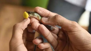 Telangana: బ్యాలెట్‎పై పిచ్చి గీతలు.. మారిన ఎమ్మెల్సీ అభ్యర్థుల తలరాతలు..