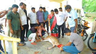 Watch Video: మనసున్న మంత్రి.. క్యాన్సర్ సోకిన చిన్నారికి అభయం ఇచ్చిన కోమటిరెడ్డి