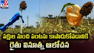 శునకానికి అరుదైన గుండె ఆపరేషన్‌ నిర్వహించిన ఢిల్లీ పశువైద్య నిపుణులు