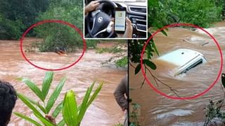 Viral Video: రాత్రి అయ్యిందంటే ఆ ఇంటి బెడ్‌రూం పైకప్పు నుంచి వింత శబ్దాలు.. ఏముందాని పగలగొట్టి చూడగా..!