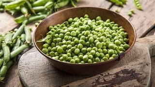 Pot Water: కుండలో నీళ్లు తాగుతున్నారా.. ఈ విషయాలు ఖచ్చితంగా గుర్తుపెట్టుకోండి..