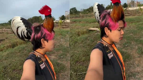 Hair Style: వార్నీ ఇదేం హెయిర్స్టైల్ తల్లి.. కోడి పుంజు నెత్తినెక్కిందా ఏంటీ.? కోసి కూరొండేస్తారు జాగ్రత్త..!