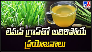 Fire in Airplane: గాల్లో ఎగురుతున్న విమానంలో మంటలు..విమానంలో 400 మంది..