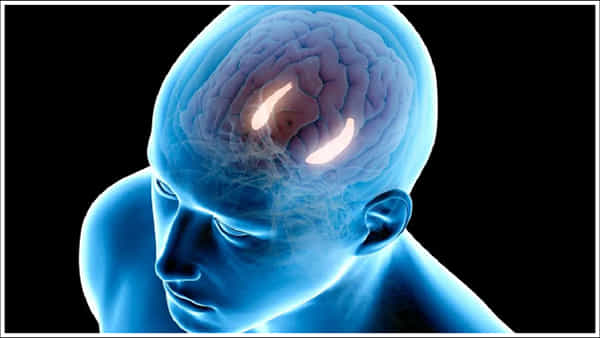 Health Tips: చిన్న చిన్న విషయాలను మరచిపోతున్నారా? ఇలా చేయండి