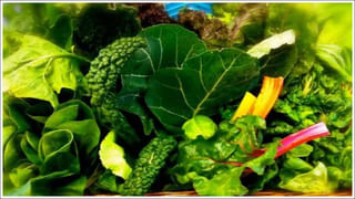 Water Spinach: కిడ్నీలో రాళ్లను వేగంగా కరిగించే ఆకులు.. రోజు ఓ గ్లాస్‌ దీని రసం తాగితే చాలు